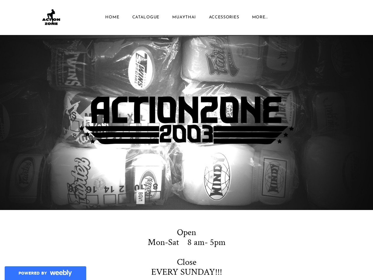 Action Zone — Website Preview