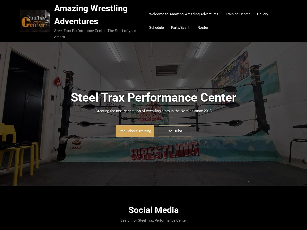 AWA Amazing Wrestling Adventures — Website Preview