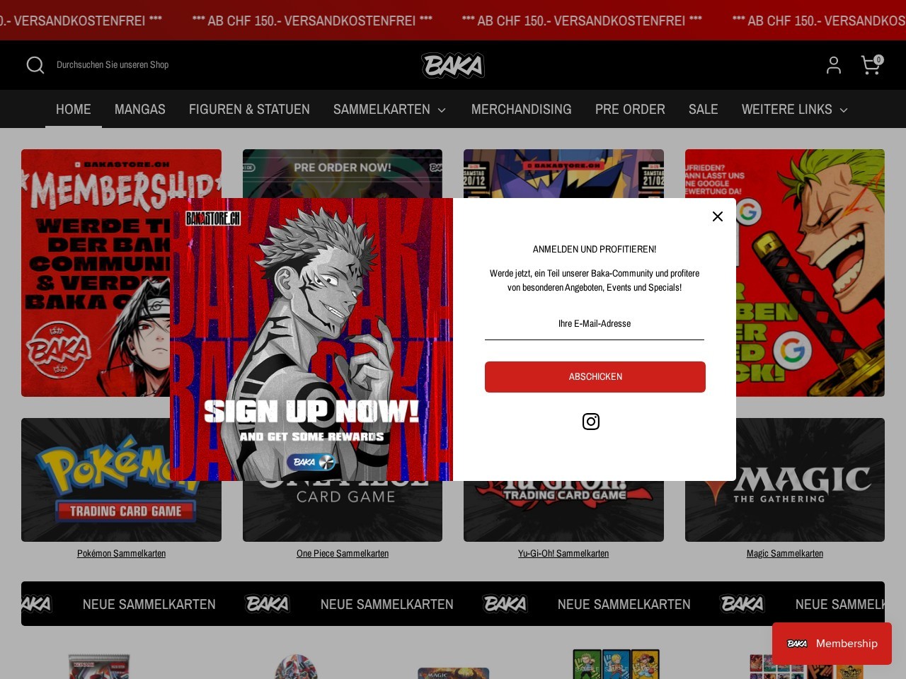 Baka Store — Website Preview