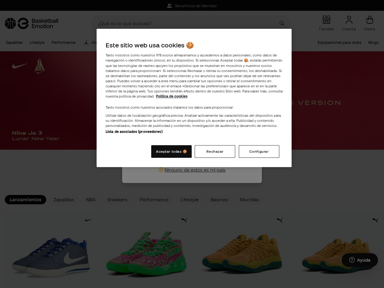 Basketball Emotion - Avda. Filipinas — Website Preview