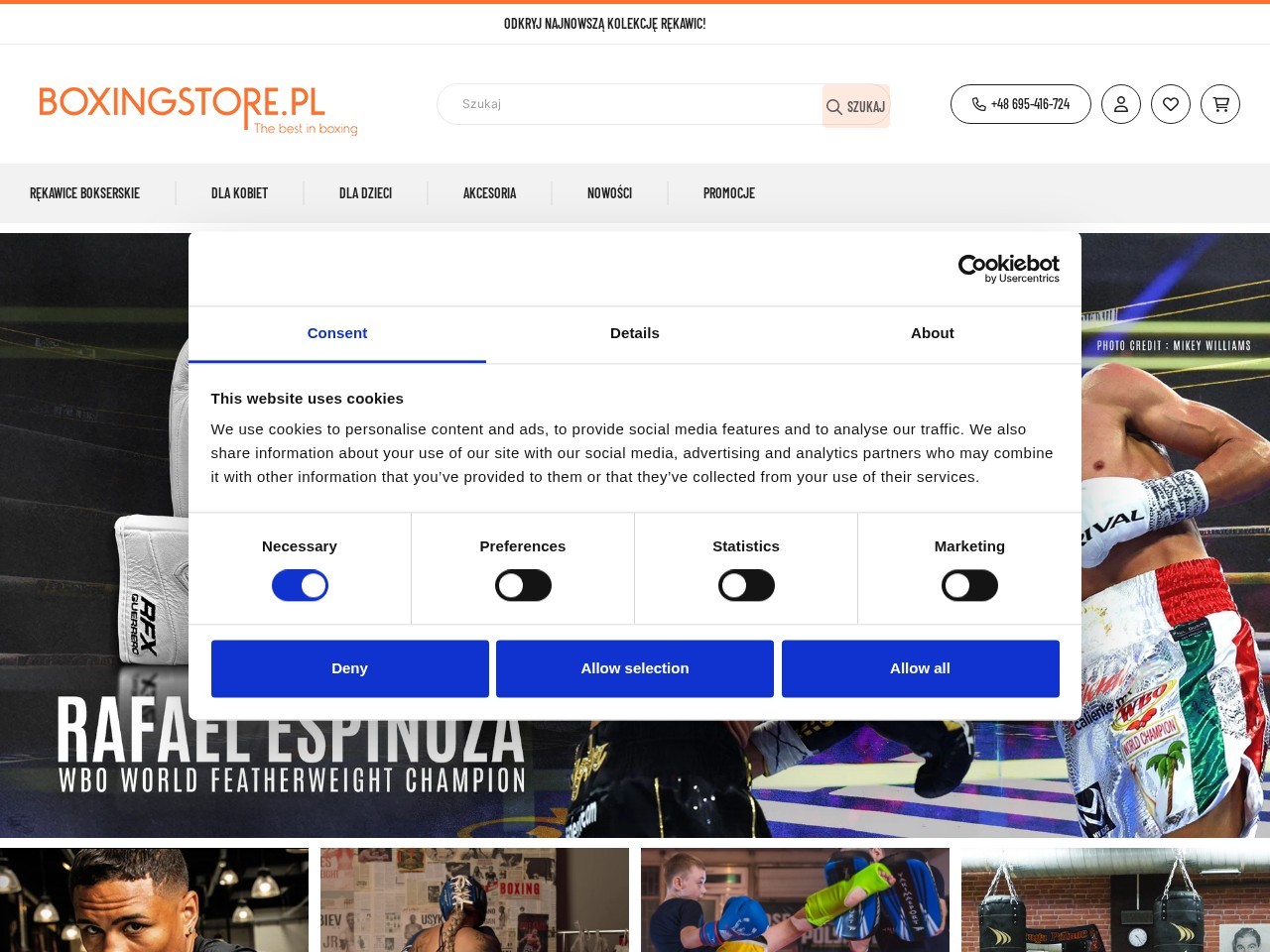Boxingstore.pl — Website Preview