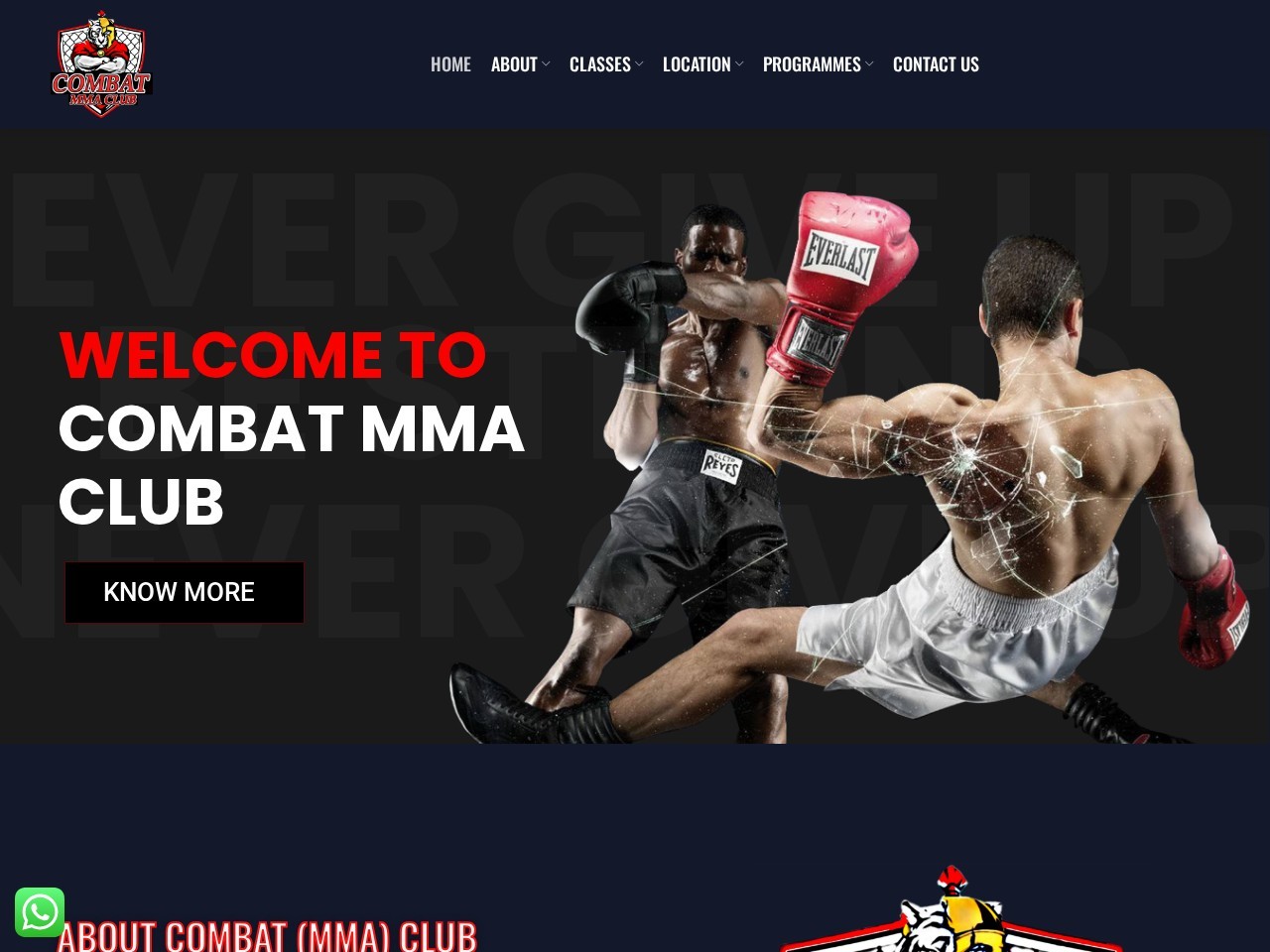 Combat MMA & Boxing Equipment Shop — Website Preview