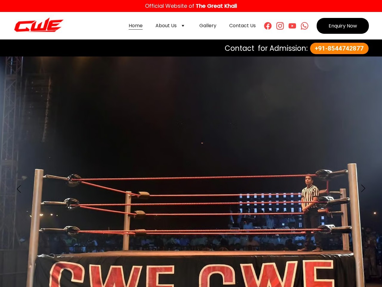 Continental Wrestling Entertainment Pvt. Ltd — Website Preview
