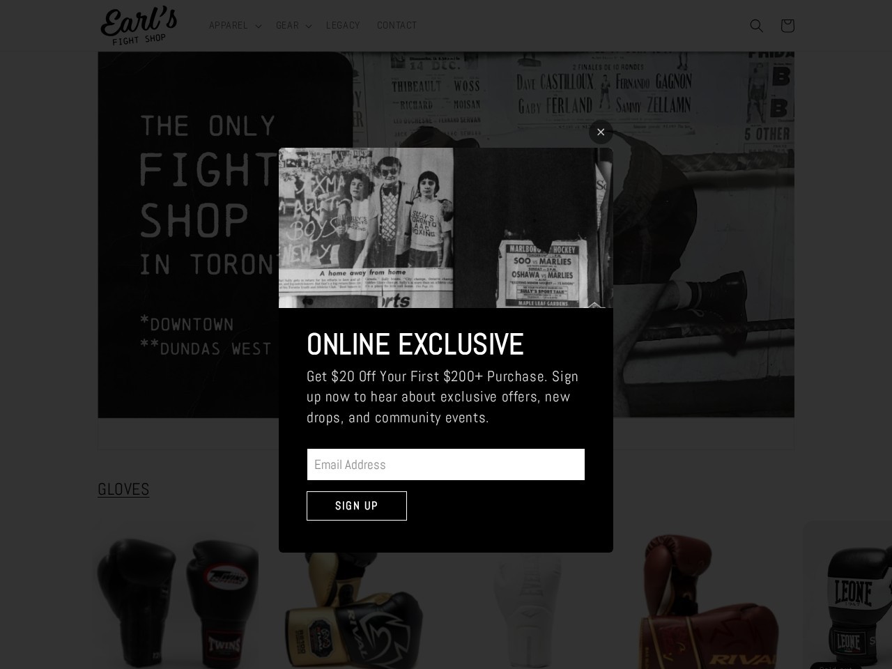 Earl’s Fight Shop Inc — Website Preview