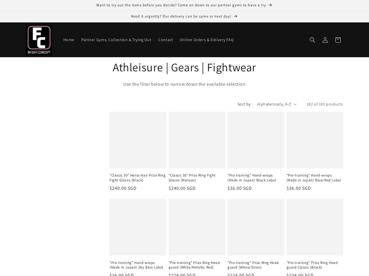 FIGHT CONCEPT โ Website Preview