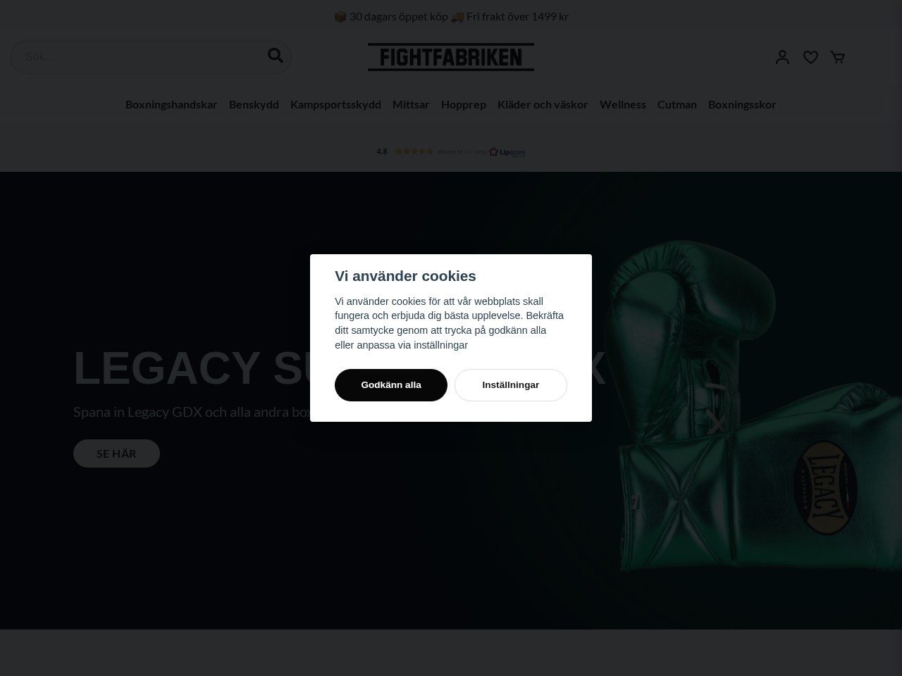Fightfabriken โ Website Preview