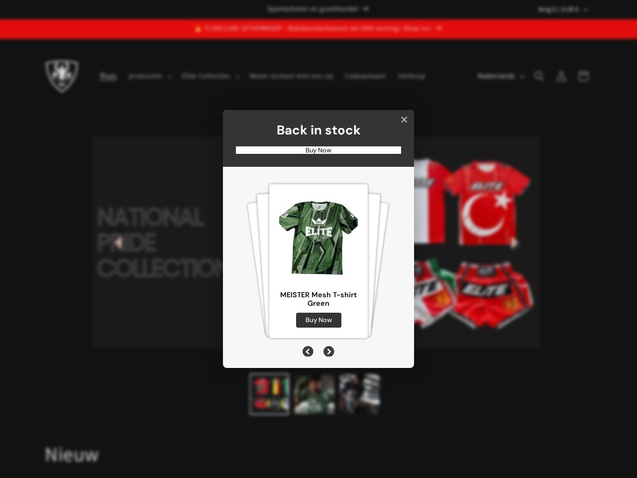 Fighting World (BV) — Website Preview