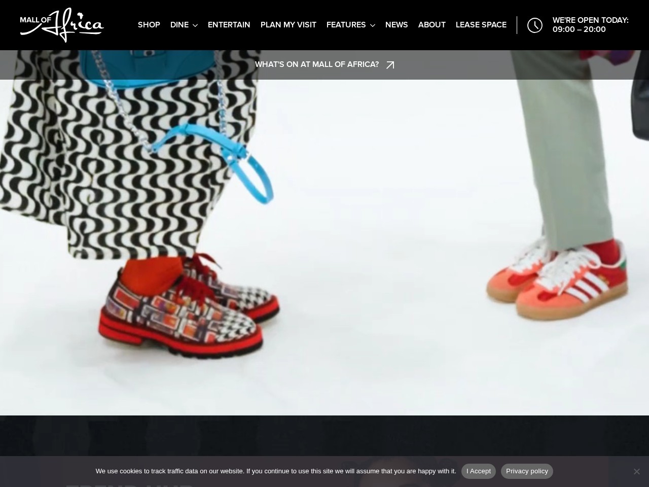 Mall of Africa — Website Preview