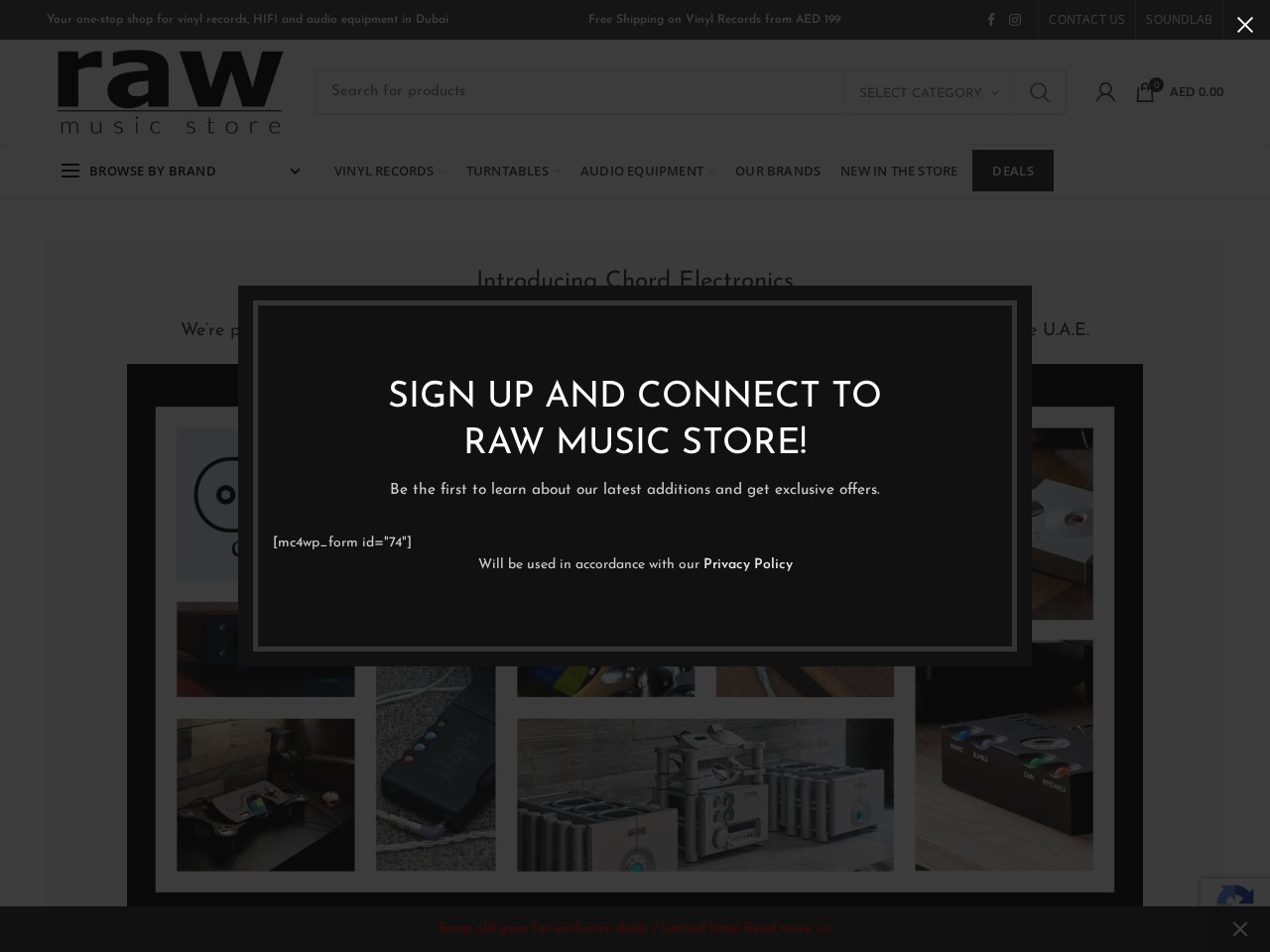 Raw Music Store โ Website Preview