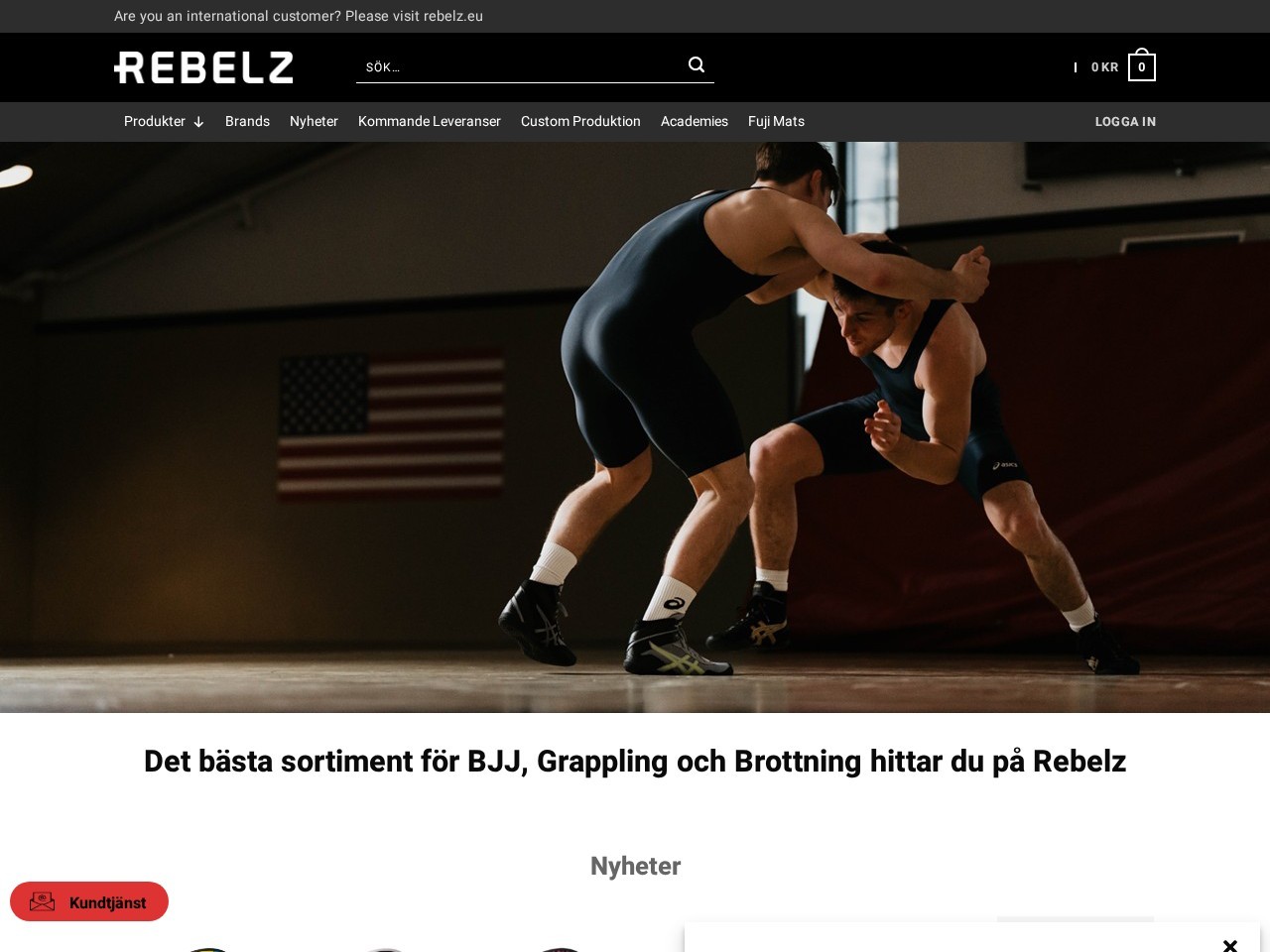 Rebelz - rebelz.se — Website Preview