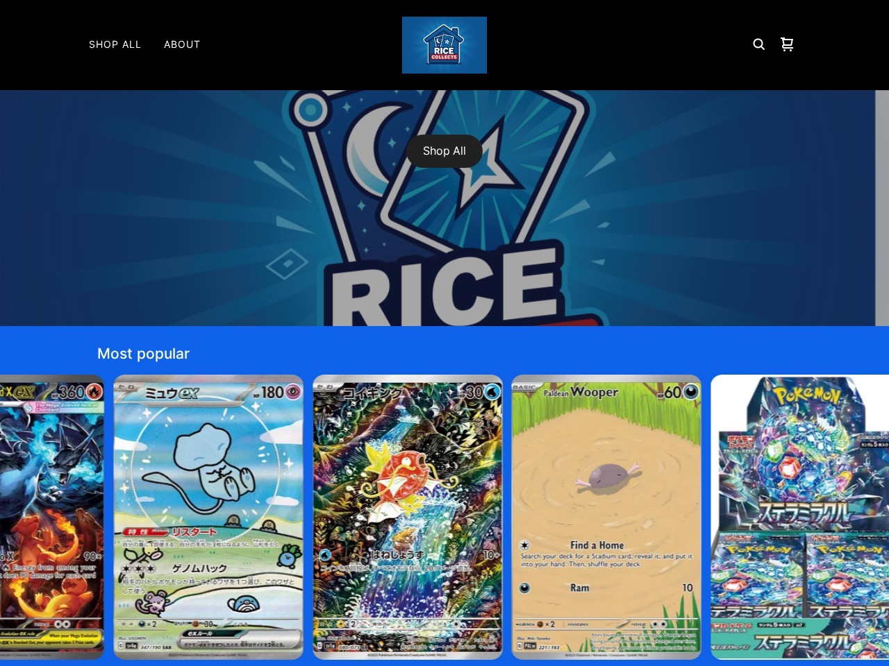 Rice Collects — Website Preview