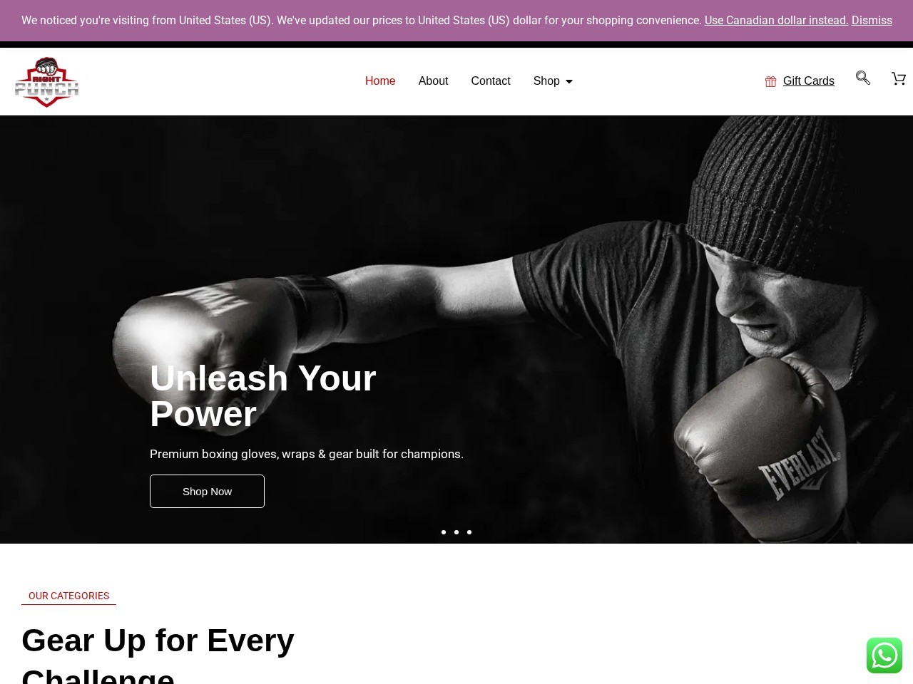 Right Punch Sports | Premium Sports Gear Suppliers — Website Preview