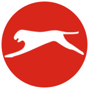 Shiv Naresh Sports Kirti Nagar logo