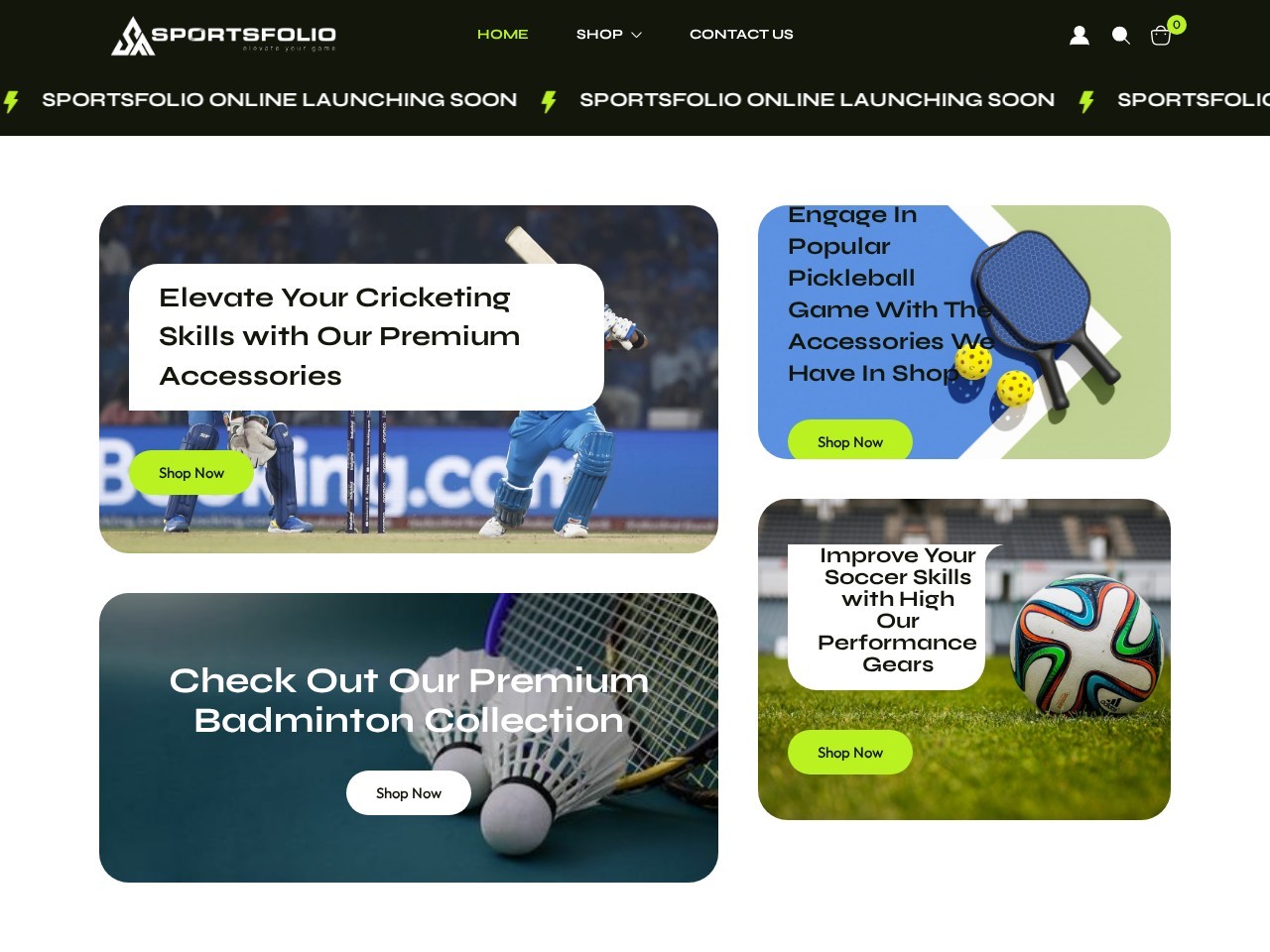 Sportsfolio — Website Preview