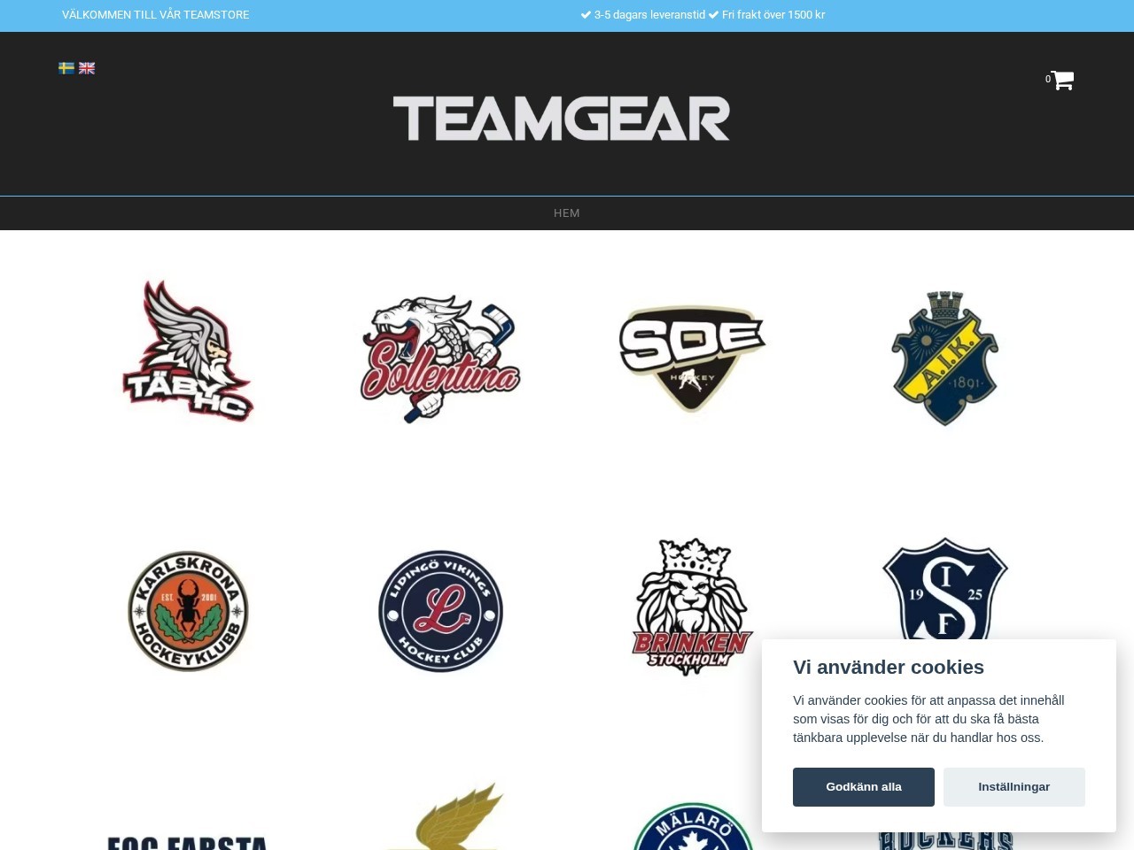 Team Gear Sweden AB — Website Preview