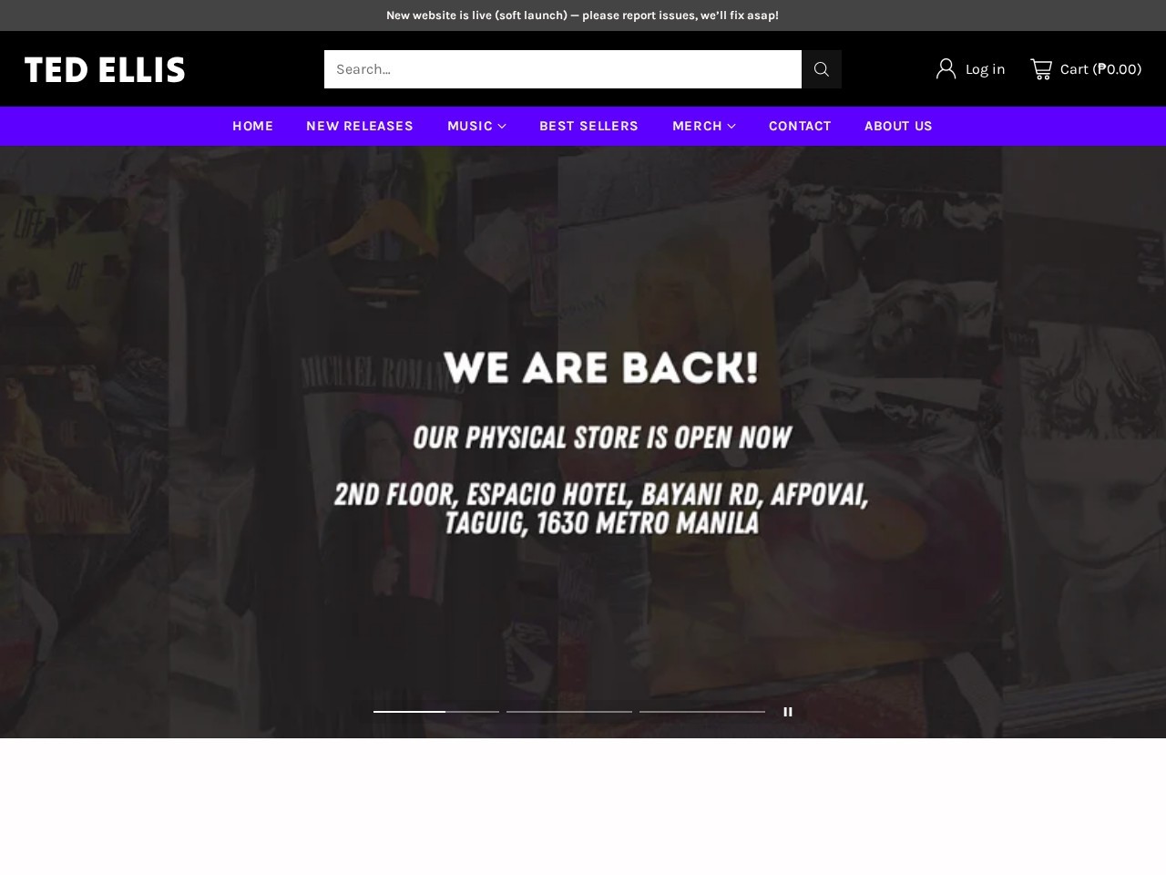Ted Ellis — Website Preview