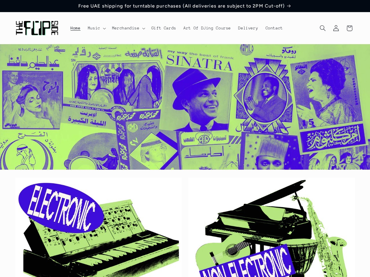 The Flip Side — Website Preview