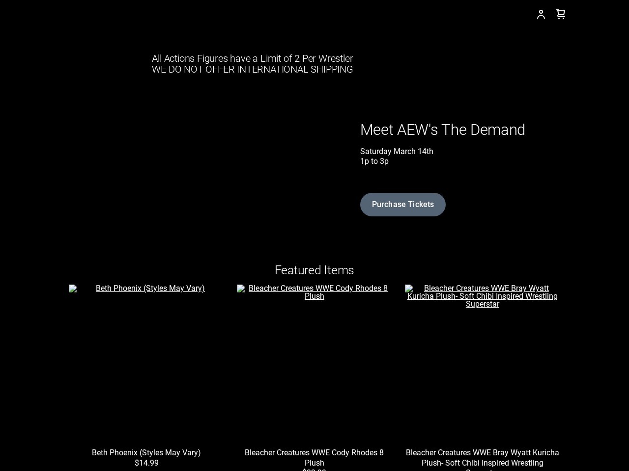 The Wrestling Guy Store — Website Preview