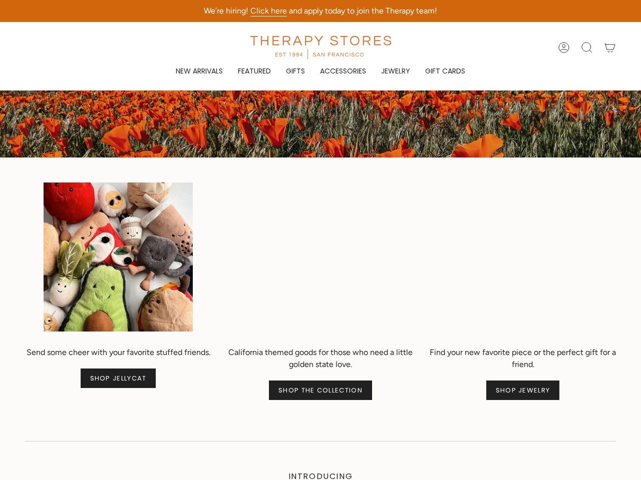 Therapy Stores — Website Preview