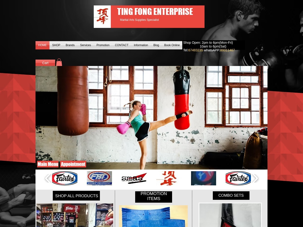 Ting Fong Enterprise — Website Preview
