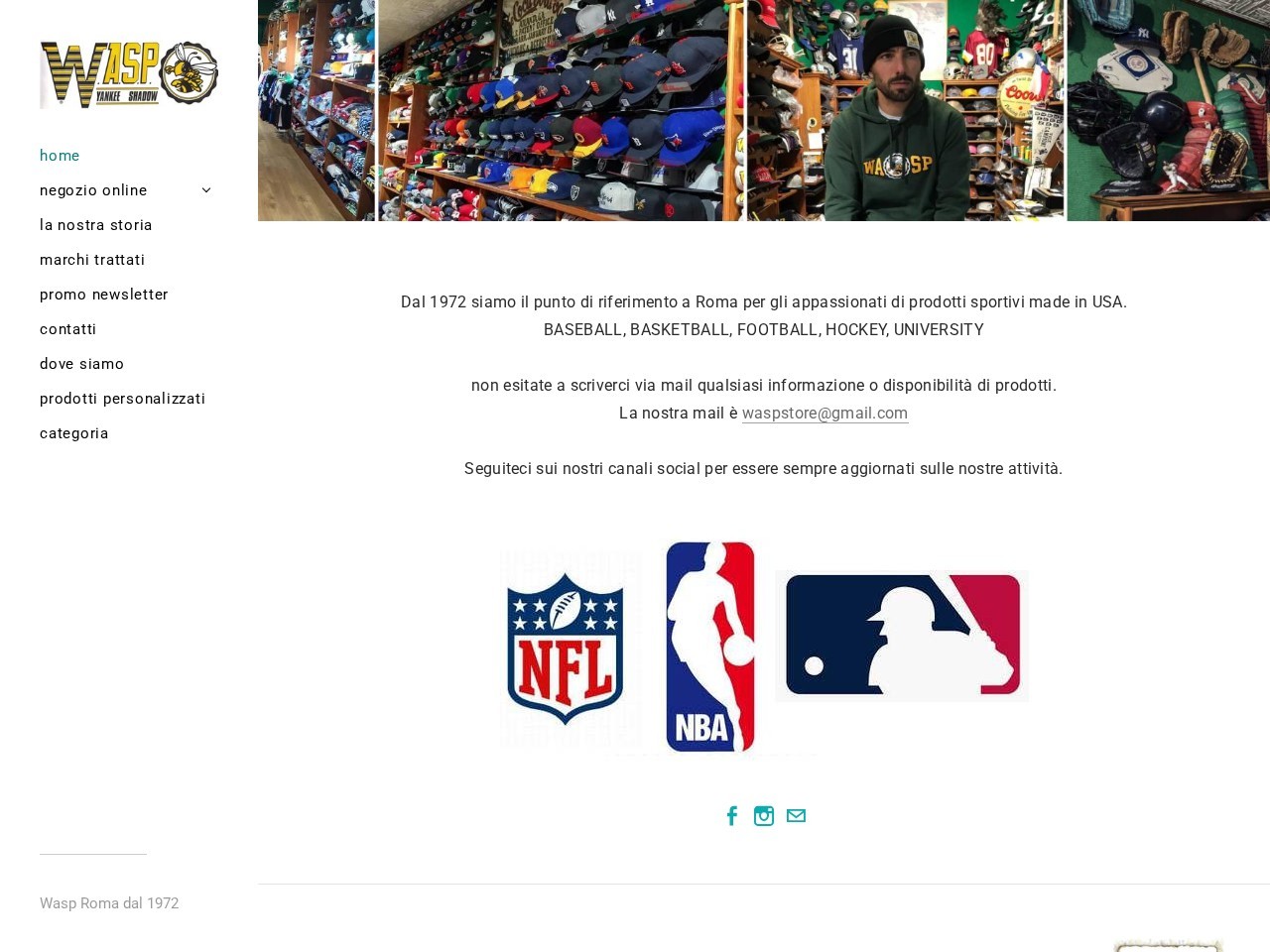 Wasp Store — Website Preview